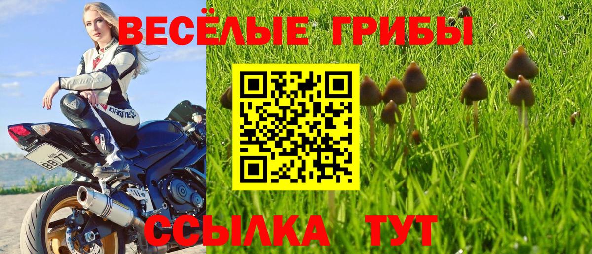 Благовещенск  Галлюциногенные грибы MAGIC MUSHROOMS  Вход с VPN  Галлюциногенные грибы Cubensis 