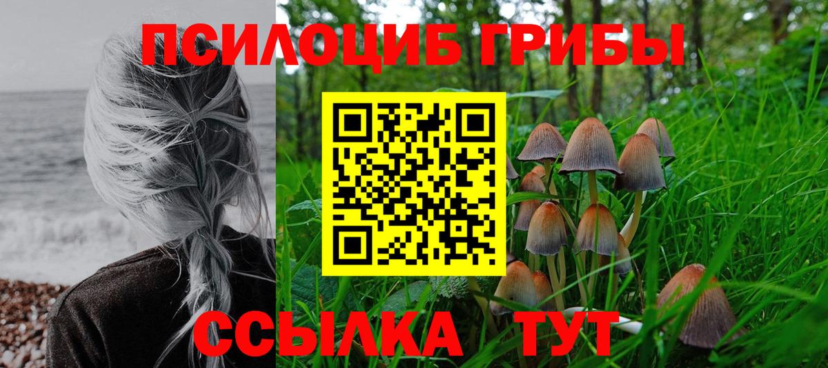 Галлюциногенные грибы Cubensis Благовещенск